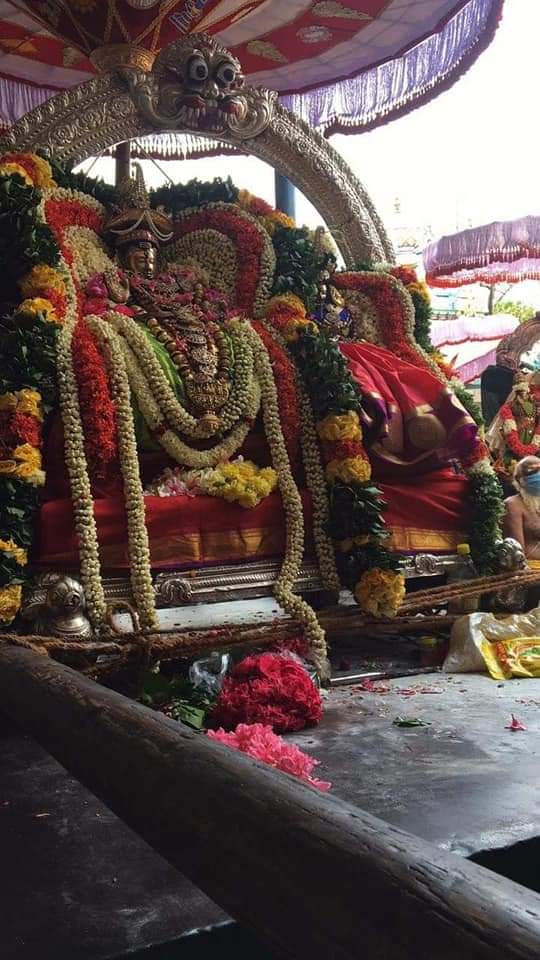 திருமயிலை அருள்மிகு கபாலீஸ்வரர்  பங்குனி   திருவிழா